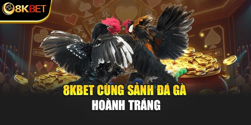 8KBET cùng sảnh đá gà hoành tráng