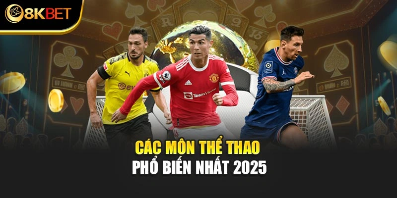 Các môn thể thao phổ biến nhất 2025