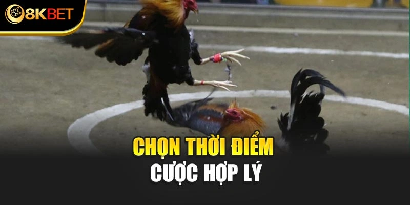 Chọn thời điểm cược hợp lý