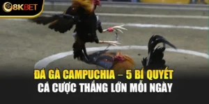 Đá Gà Campuchia