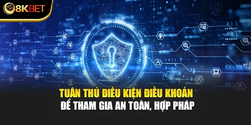 Tuân thủ điều kiện điều khoản để tham gia an toàn, hợp pháp